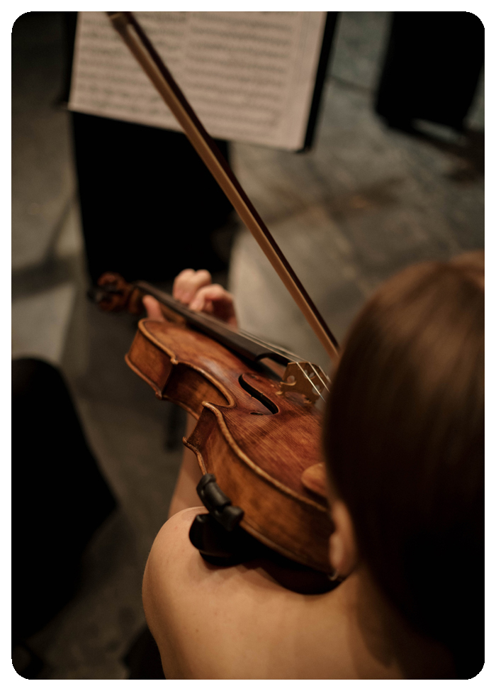 Viver Lim�o - Portal de Produtos e Servi�os