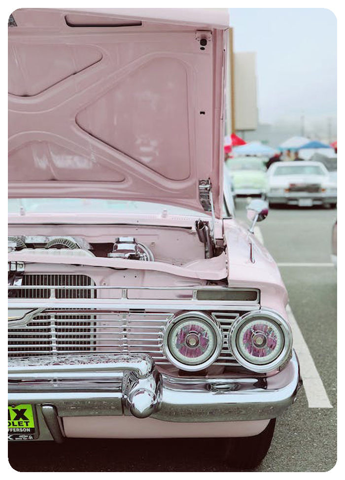 Viver Lim�o - Portal de Produtos e Servi�os